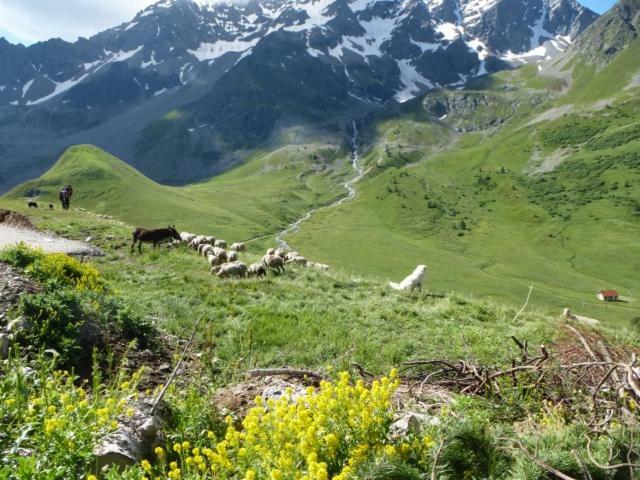 Apartment La Meije Blanche Villar-dʼArène Kültér fotó